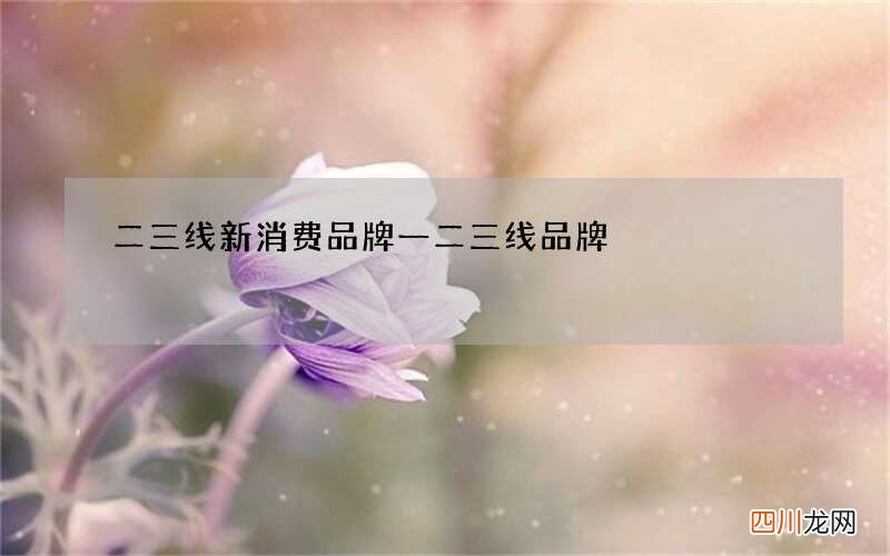 二三线新消费品牌 一二三线品牌