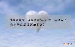 钟薛高最贵一只雪糕售价66元，年轻人还会为网红品牌买单多久？