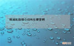 杨浦区婚姻介绍所在哪里啊，婚姻介绍所在哪里呢？