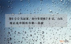 靠500元起家，如今年营收78亿，力压维达成中国纸巾第一品牌