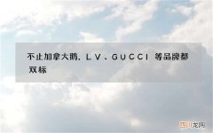 不止加拿大鹅，LV、GUCCI等品牌都双标