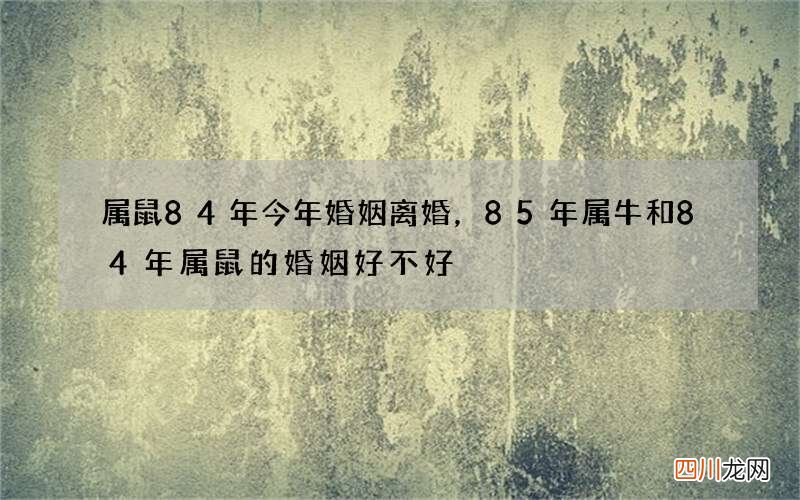 属鼠84年今年婚姻离婚，85年属牛和84年属鼠的婚姻好不好