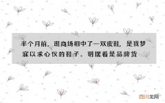 半个月前，逛商场相中了一双皮鞋,是我梦寐以求心仪的鞋子。明摆着是品牌货