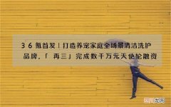 36氪首发｜打造养宠家庭全场景清洁洗护品牌，「再三」完成数千万元天使轮融