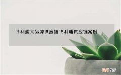 飞利浦大品牌供应链 飞利浦供应链案例
