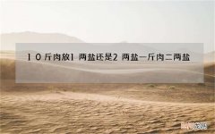 10斤肉放1两盐还是2两盐 一斤肉二两盐