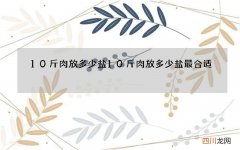 10斤肉放多少盐 10斤肉放多少盐最合适