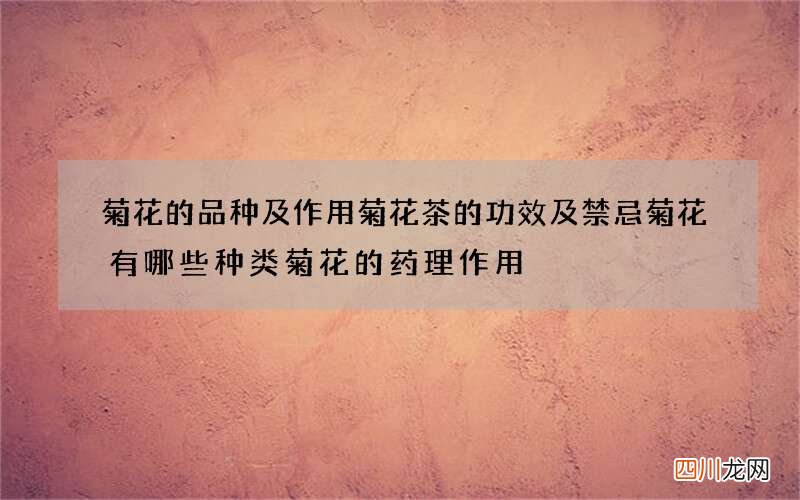 菊花的品种及作用 菊花茶的功效及禁忌菊花有哪些种类菊花的药理作用