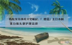 防脱发市场成分党崛起，「橙蔻」主打水碱蛋白做头部护理品牌