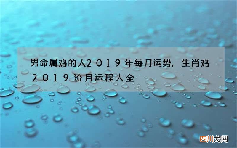男命属鸡的人2019年每月运势,生肖鸡2019流月运程大全