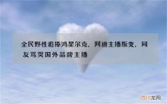 全民野性追捧鸿星尔克，阿迪主播叛变，网友骂哭国外品牌主播