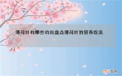 薄荷叶有哪些功效盘点薄荷叶的营养吃法