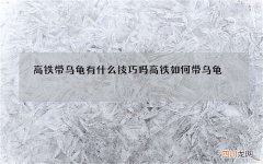 高铁带乌龟有什么技巧吗 高铁如何带乌龟