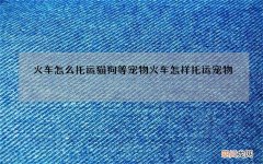 火车怎么托运猫狗等宠物 火车怎样托运宠物