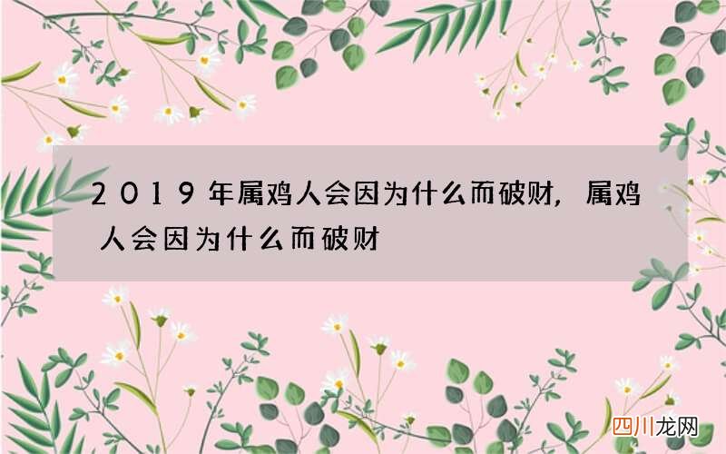 2019年属鸡人会因为什么而破财,属鸡人会因为什么而破财