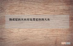 换成驼色大衣好高贵 驼色的大衣