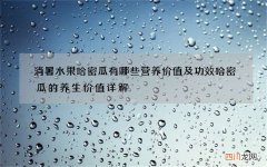 消暑水果哈密瓜有哪些营养价值及功效 哈密瓜的养生价值详解