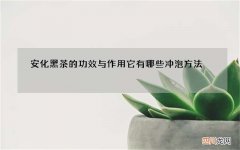 安化黑茶的功效与作用 它有哪些冲泡方法