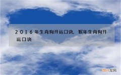 2016年生肖狗开运口诀,猴年生肖狗开运口诀