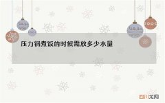 压力锅煮饭的时候需放多少水量