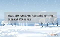 听说过香蕉减肥法 用这方法减肥效果十分明显香蕉减肥法的简介
