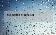 想减肥吃什么 如何饮食减肥