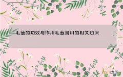 毛葱的功效与作用 毛葱食用的相关知识