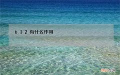 b12有什么作用