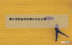 桑叶减肥 新鲜的桑叶该怎么吃