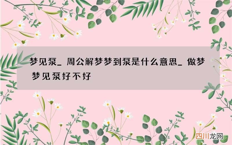 梦见泵_周公解梦梦到泵是什么意思_做梦梦见泵好不好