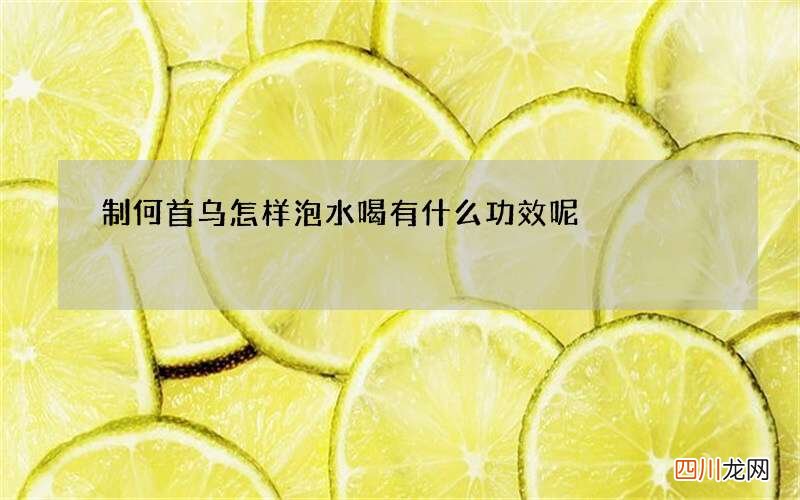 制何首乌怎样泡水喝 有什么功效呢