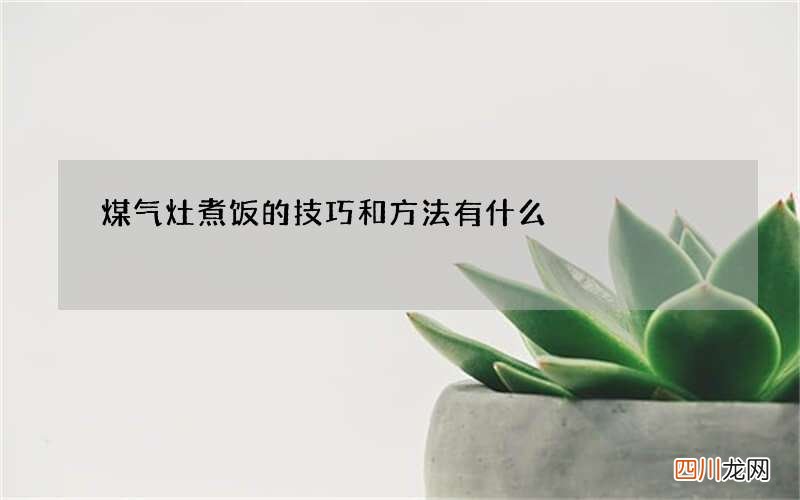 煤气灶煮饭的技巧和方法有什么