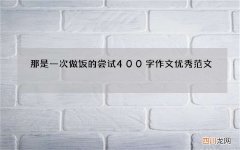 那是一次做饭的尝试400字作文优秀范文