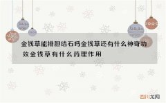 金钱草能排胆结石吗 金钱草还有什么神奇功效金钱草有什么药理作用