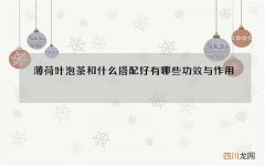 薄荷叶泡茶和什么搭配好 有哪些功效与作用