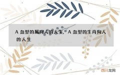 A血型的属狗人的人生,A血型的生肖狗人的人生