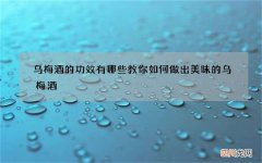 乌梅酒的功效有哪些 教你如何做出美味的乌梅酒