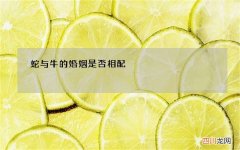 蛇与牛的婚姻是否相配，老婆属蛇老公属牛的婚姻好么