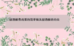 甜酒酿煮鸡蛋的简单做法 甜酒酿的功效