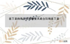 苦丁茶的养生作用 哪些人适合饮用苦丁茶