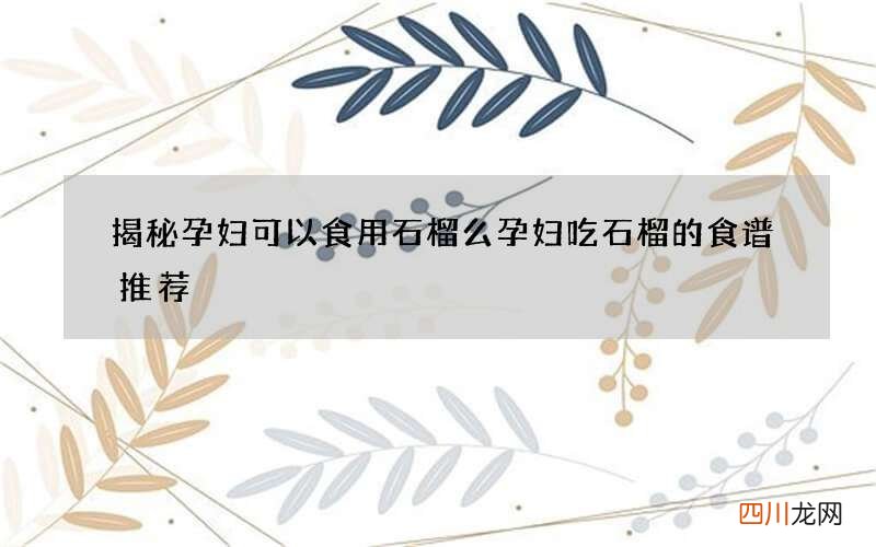 揭秘孕妇可以食用石榴么 孕妇吃石榴的食谱推荐