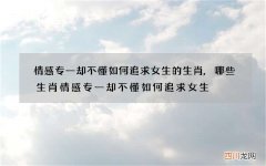 情感专一却不懂如何追求女生的生肖,哪些生肖情感专一却不懂如何追求女生