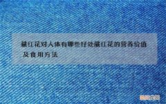 藏红花对人体有哪些好处 藏红花的营养价值及食用方法