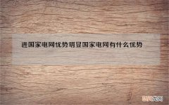 进国家电网优势明显 国家电网有什么优势