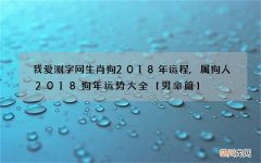 我爱测字网生肖狗2018年运程,属狗人2018狗年运势大全【男命篇】