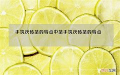 手筑茯砖茶的特点 中茶手筑茯砖茶的特点