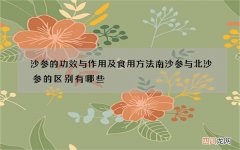 沙参的功效与作用及食用方法 南沙参与北沙参的区别有哪些
