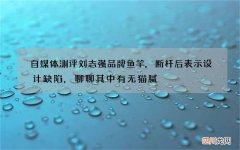 自媒体测评刘志强品牌鱼竿,断杆后表示设计缺陷,聊聊其中有无猫腻