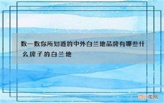 数一数你所知道的中外白兰地品牌有哪些 什么牌子的白兰地