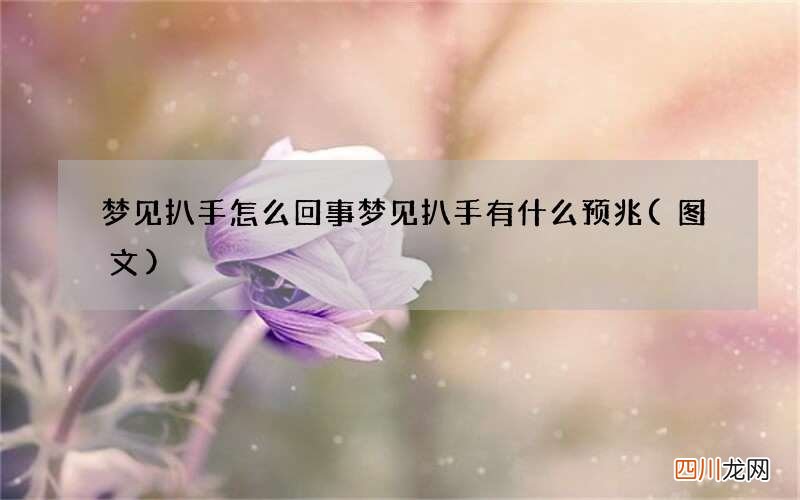 梦见扒手怎么回事 梦见扒手有什么预兆